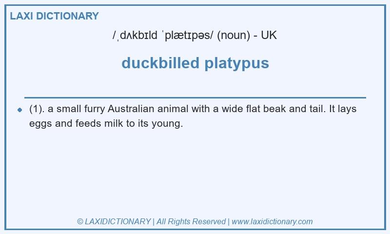 Definition duckbilled platypus in British English