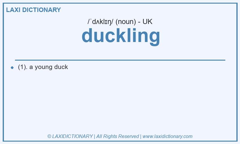 Definition duckling in British English