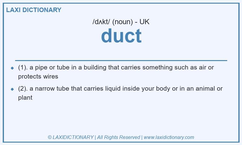 Definition duct in British English