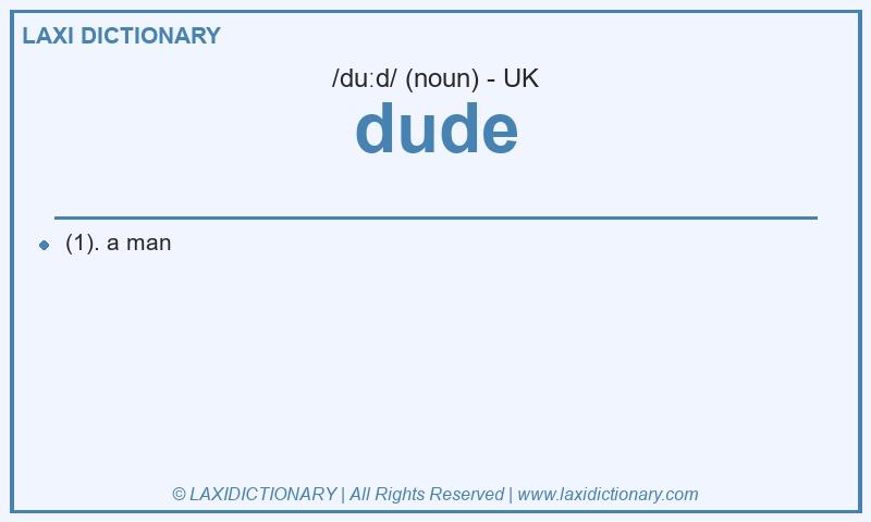 Definition dude in British English