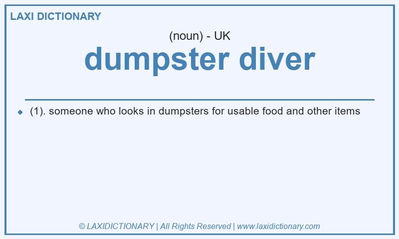 Definition dumpster diver in British English
