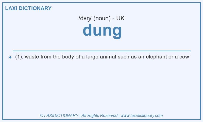 Definition dung in British English