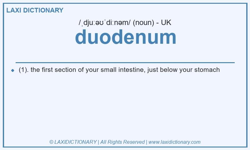 Definition duodenum in British English