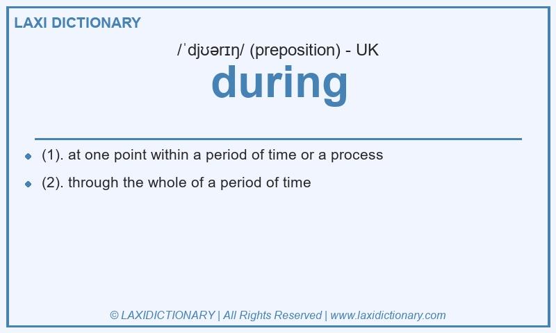 Definition during in British English