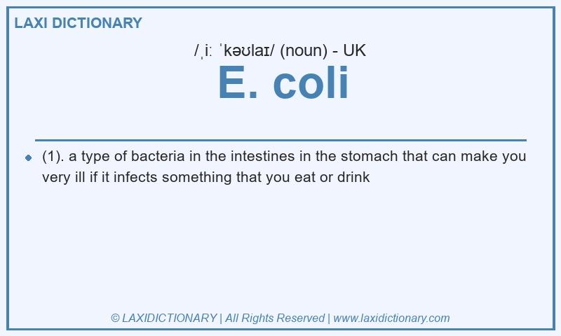 Definition E. coli in British English