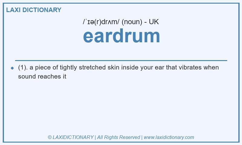 Definition eardrum in British English