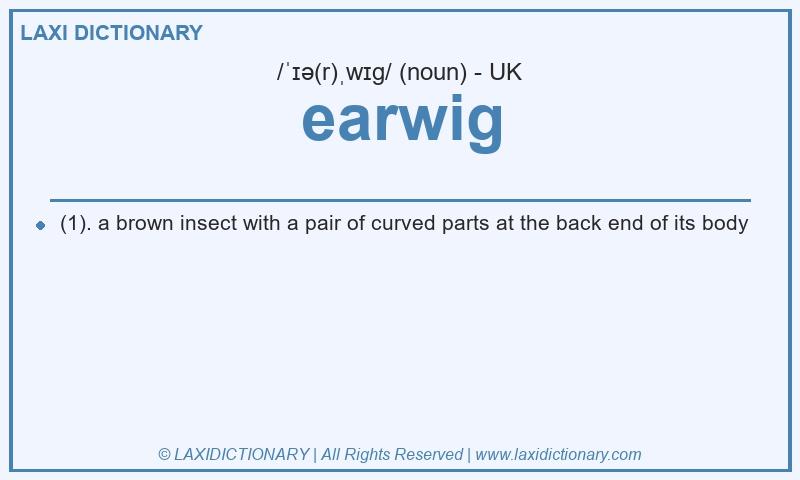 Definition earwig in British English