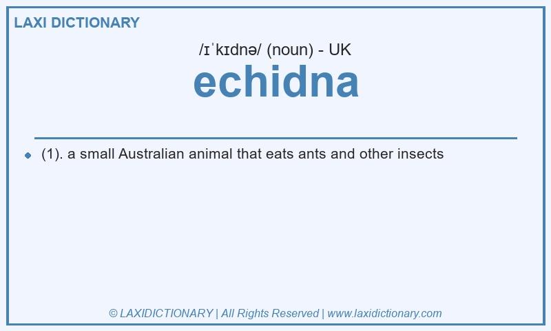 Definition echidna in British English