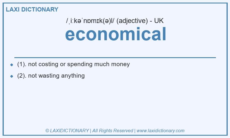 Definition economical in British English