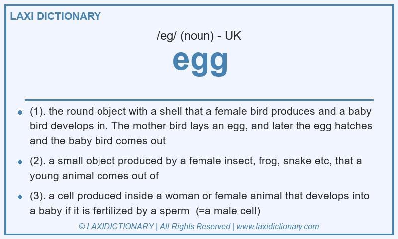 Definition egg in British English
