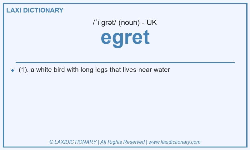 Definition egret in British English