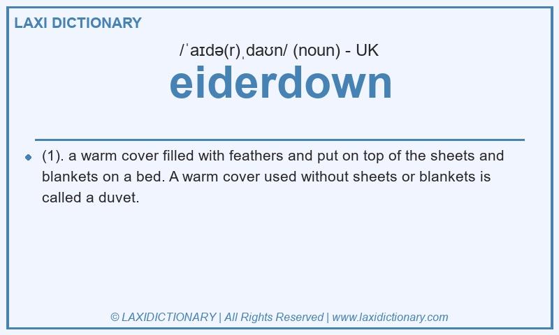 Definition eiderdown in British English
