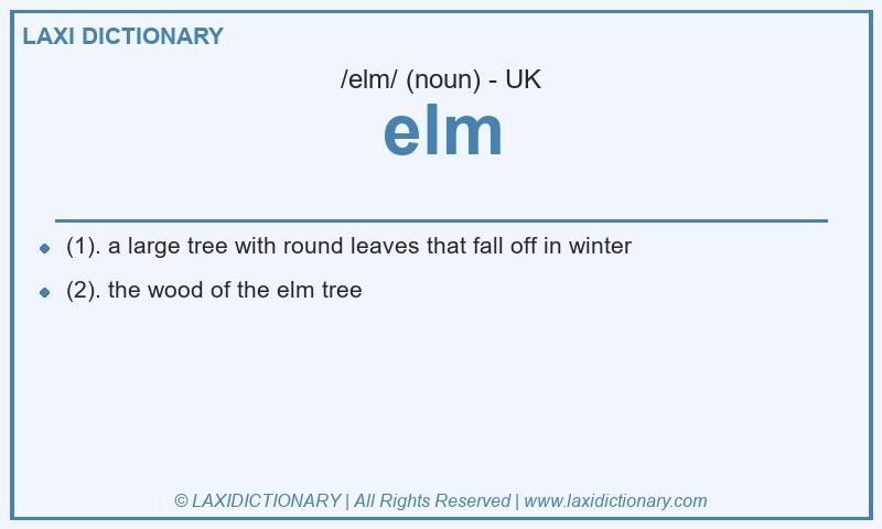 Definition elm in British English