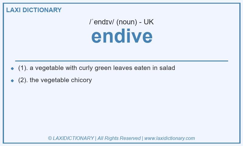 Definition endive in British English