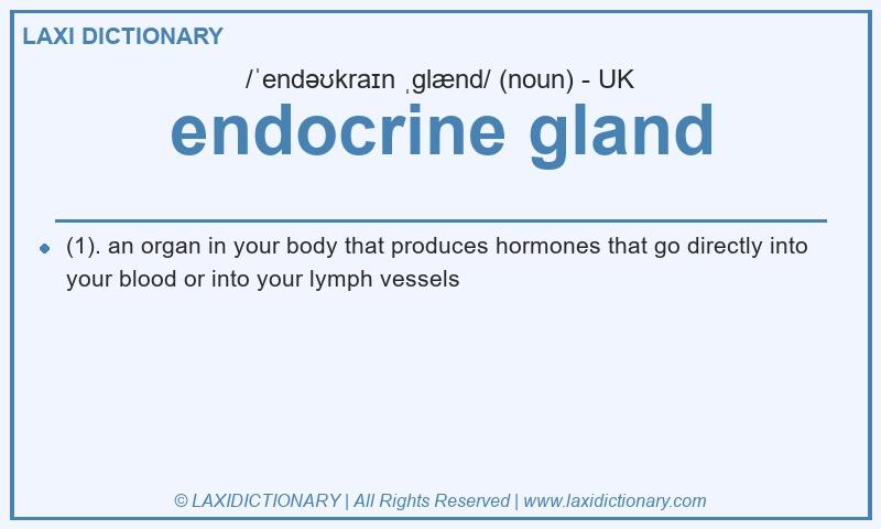 Definition endocrine gland in British English