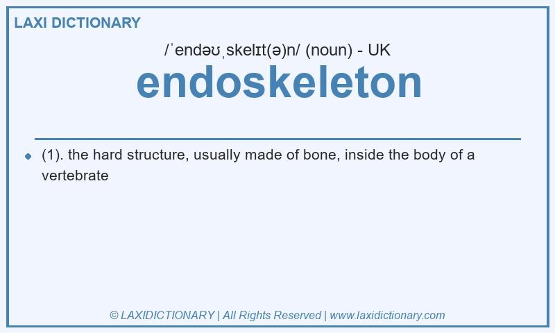 Definition endoskeleton in British English