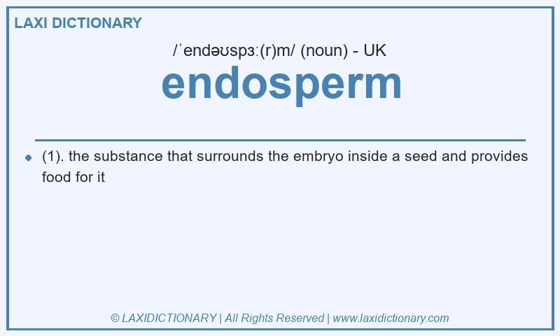 Definition endosperm in British English