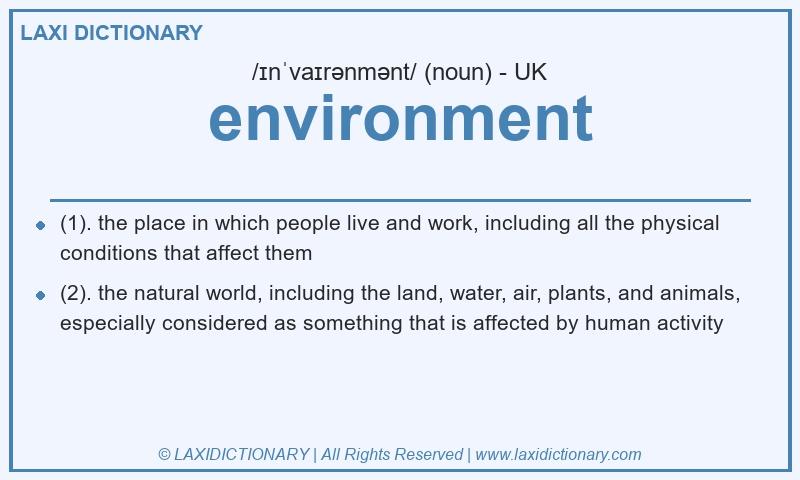 Definition environment in British English