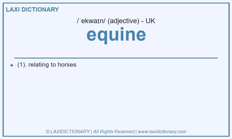 Definition equine in British English
