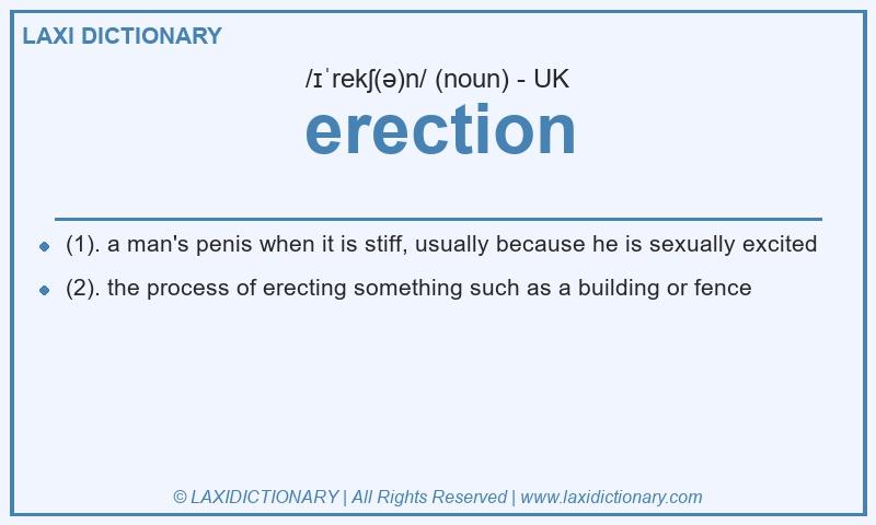 Definition erection in British English