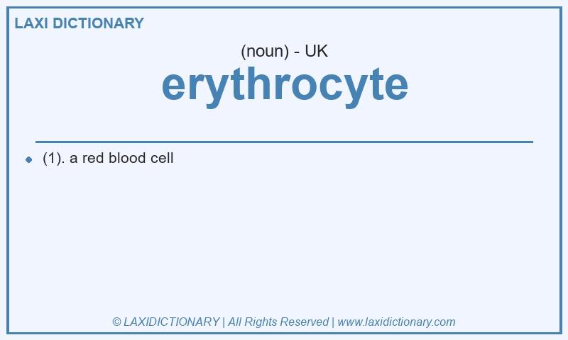 Definition erythrocyte in British English