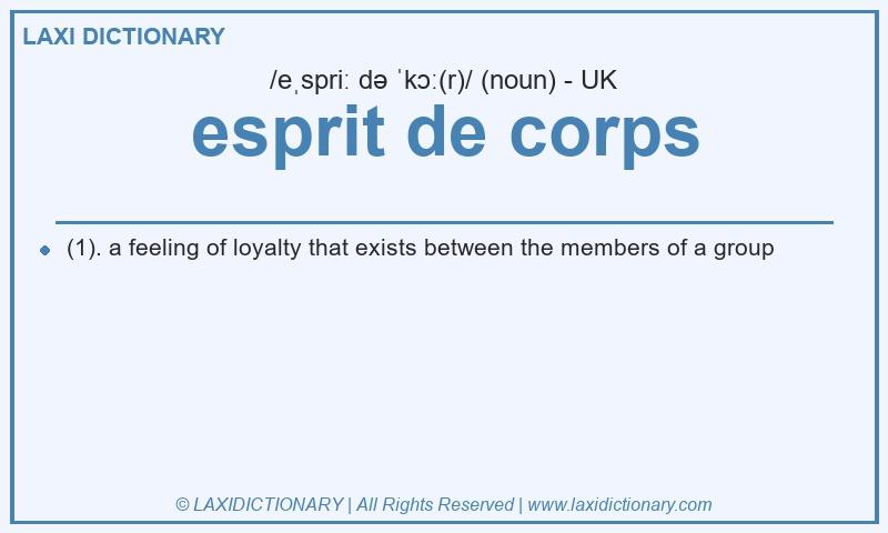 Definition esprit de corps in British English