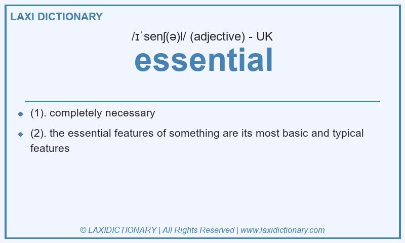 Definition essential in British English