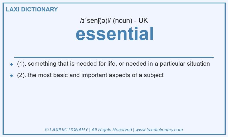 Definition essential in British English