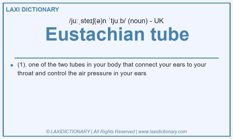 Definition Eustachian tube in British English