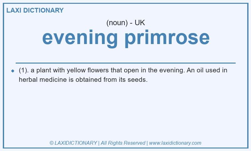 Definition evening primrose in British English