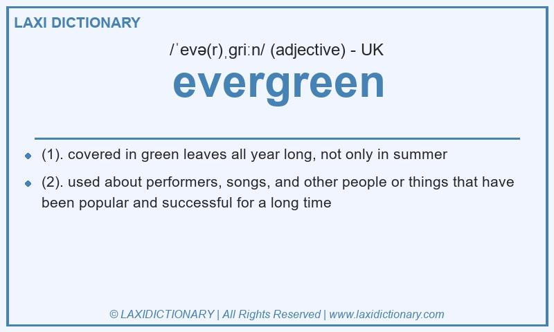 Definition evergreen in British English