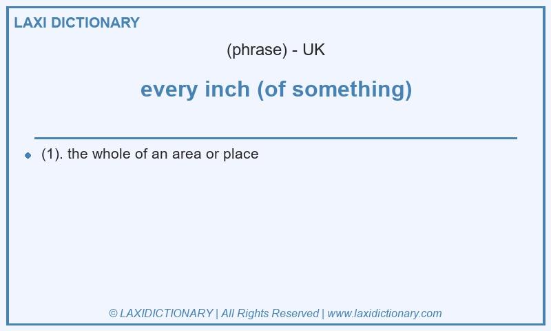 Definition every inch (of something) in British English
