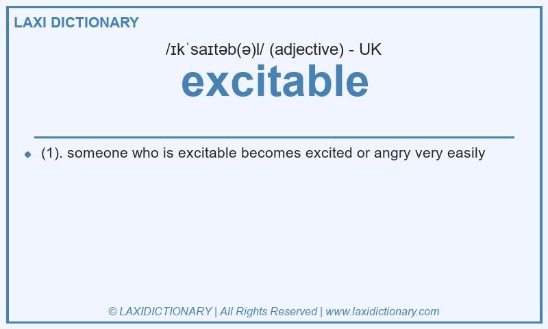 Definition excitable in British English