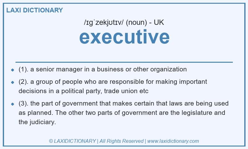 Definition executive in British English