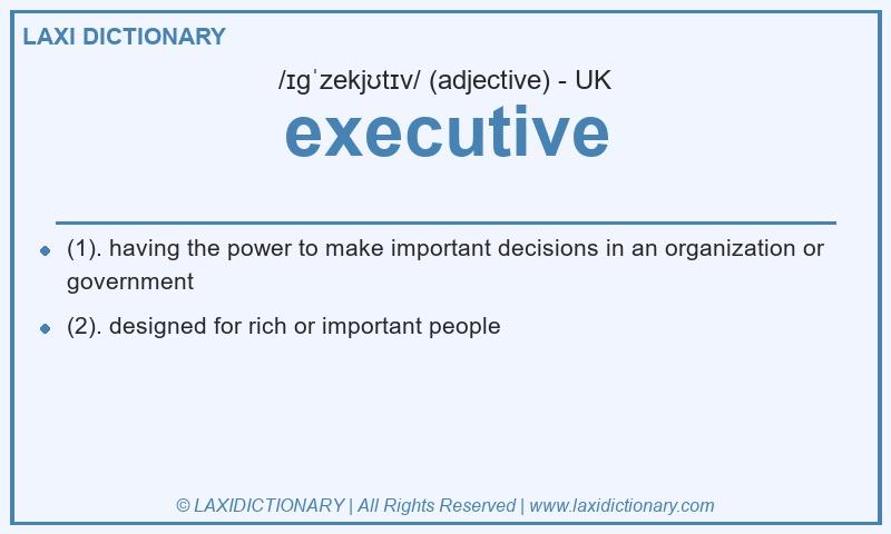 Definition executive in British English