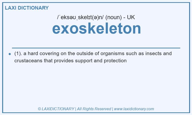 Definition exoskeleton in British English