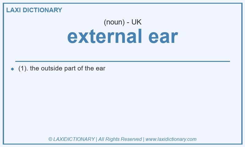 Definition external ear in British English