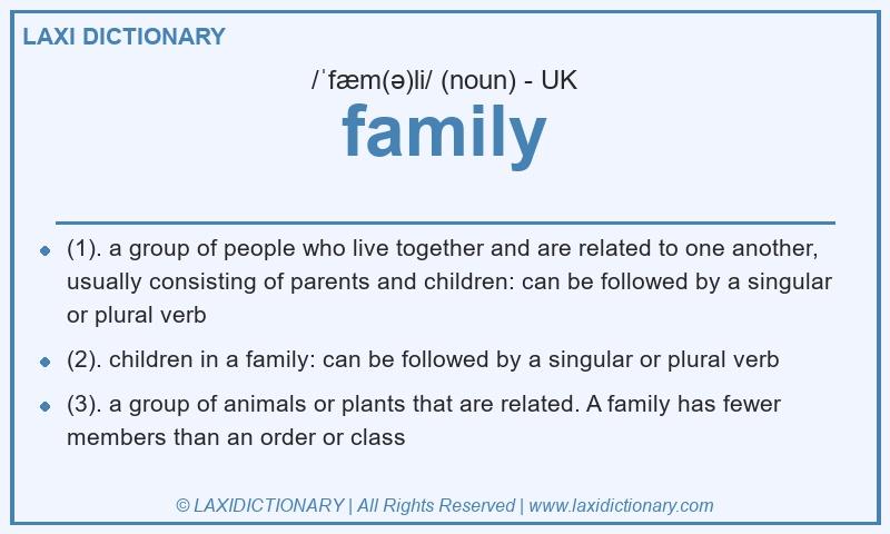 Definition family in British English