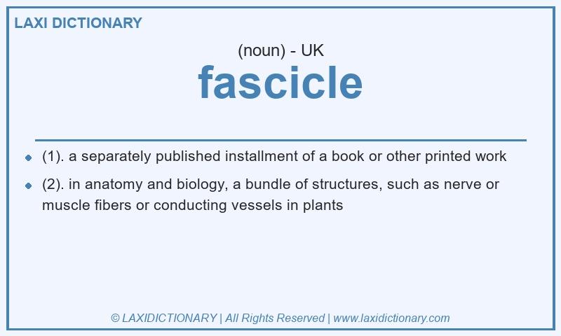 Definition fascicle in British English