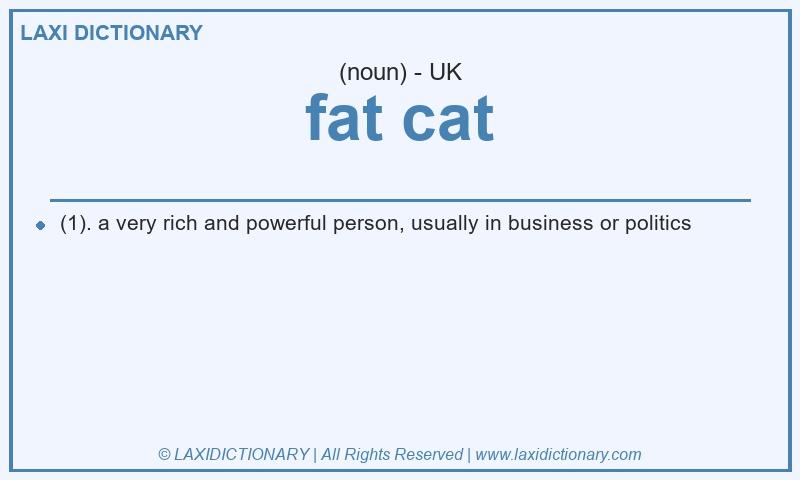 Definition fat cat in British English