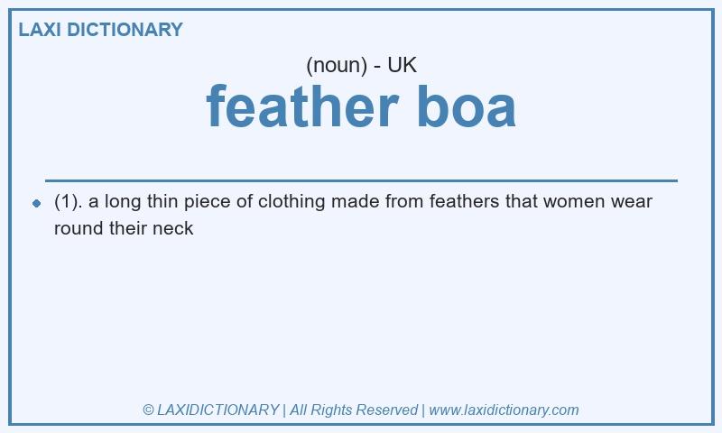 Definition feather boa in British English