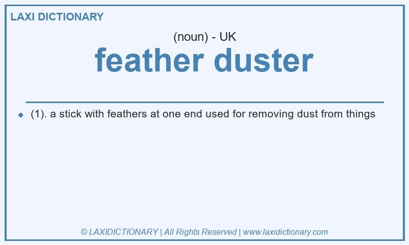 Definition feather duster in British English