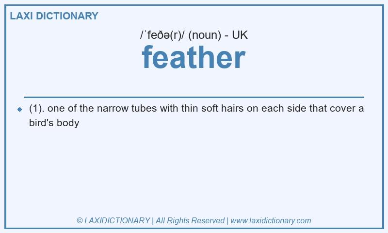 Definition feather in British English