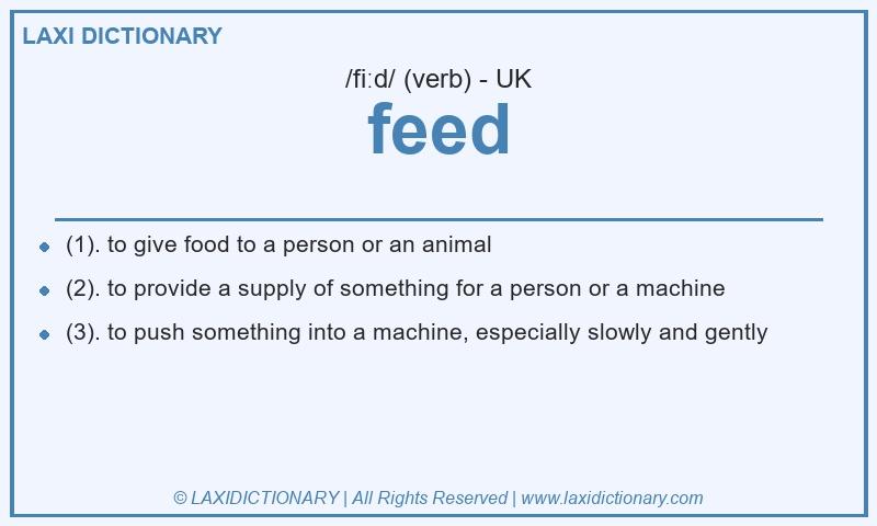 Definition feed in British English