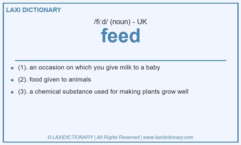 Definition feed in British English