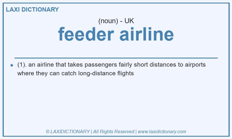 Definition feeder airline in British English