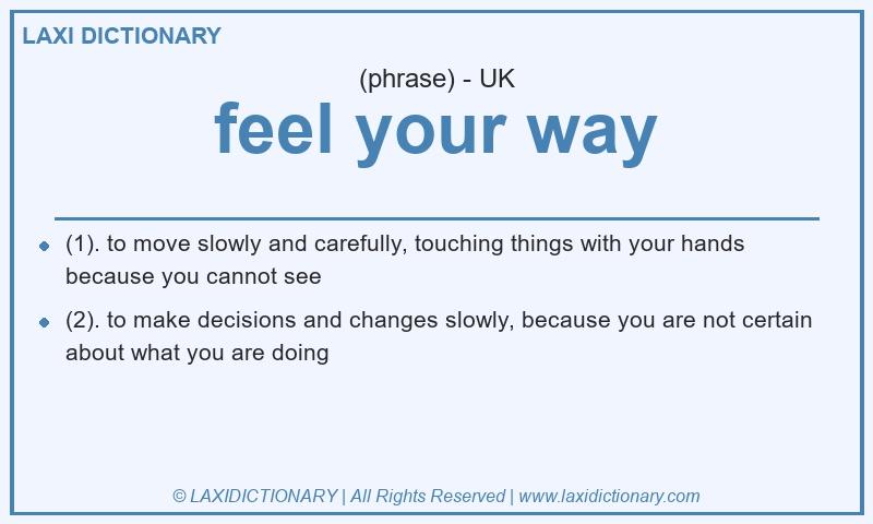 Definition feel your way in British English
