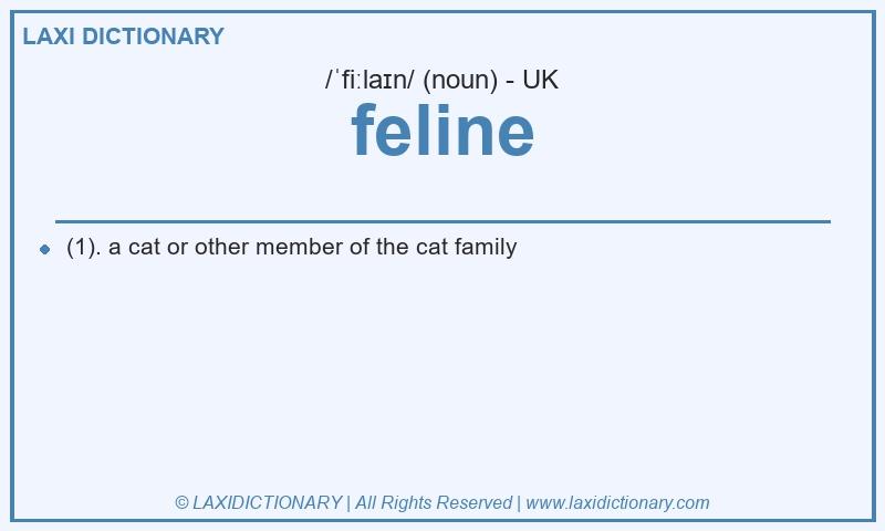 Definition feline in British English