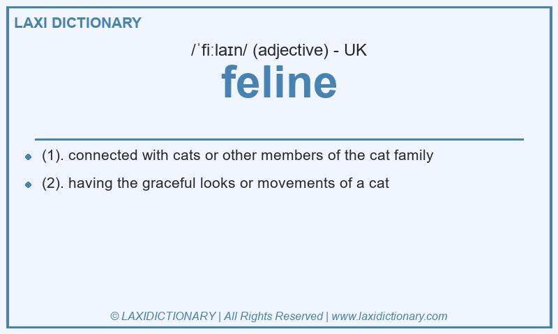 Definition feline in British English