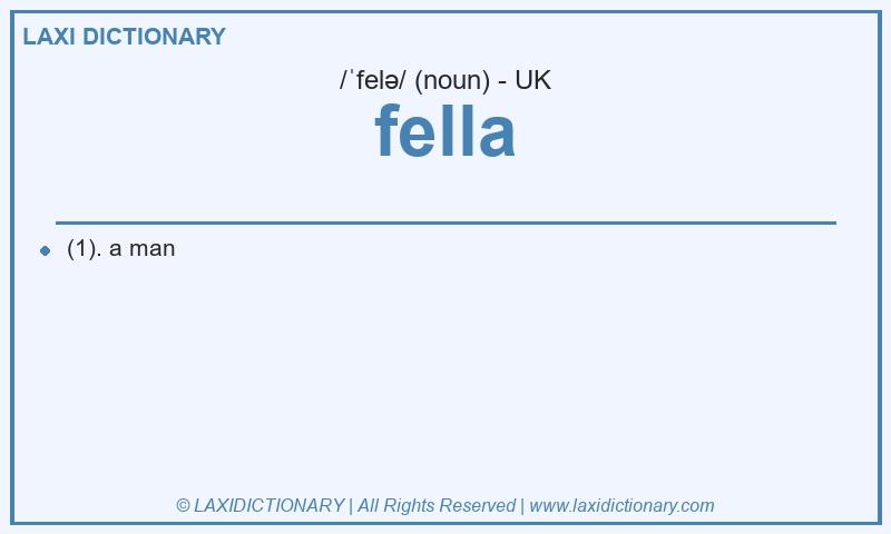 Definition fella in British English